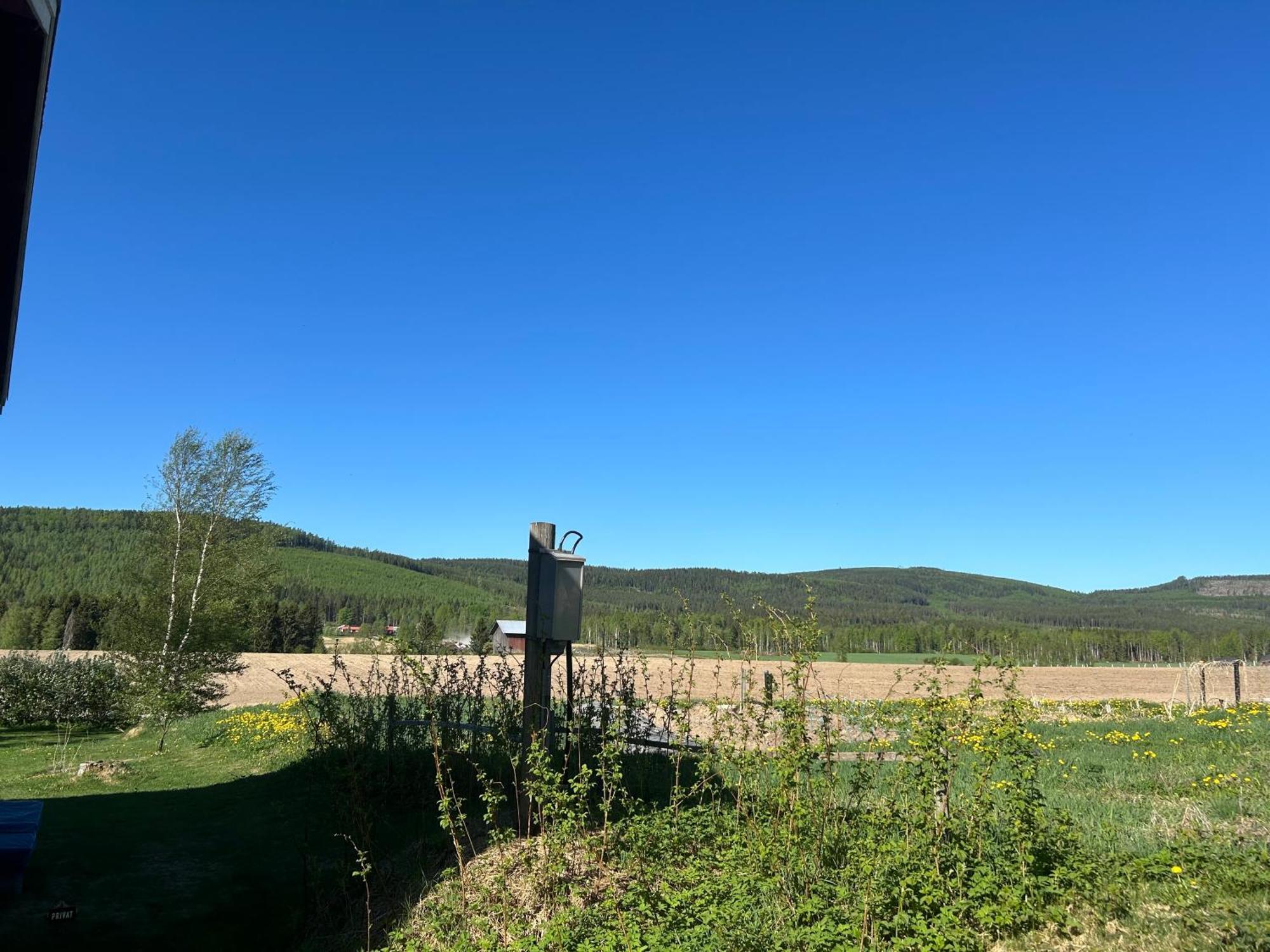Järvsö Annas B&B المظهر الخارجي الصورة